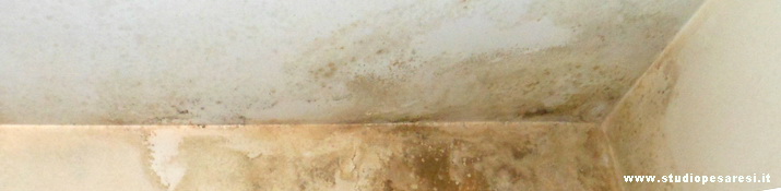 Soluzioni ai problemi di umidità, condensa e muffe Condensa e muffa